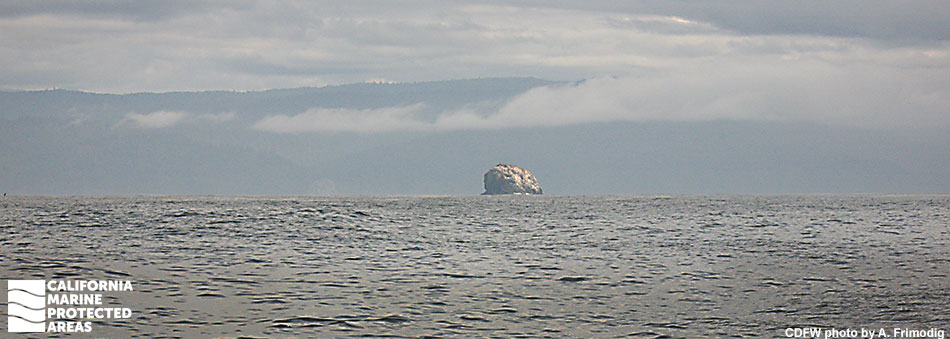 a grey choppy ocean extends out to the shoreline, the shore is barely discernable due to marine fog, rolling darks hills are visible far off in the distance with rounded gray clouds around the peaks, center frame a large 200 foot rock juts out form the ocean